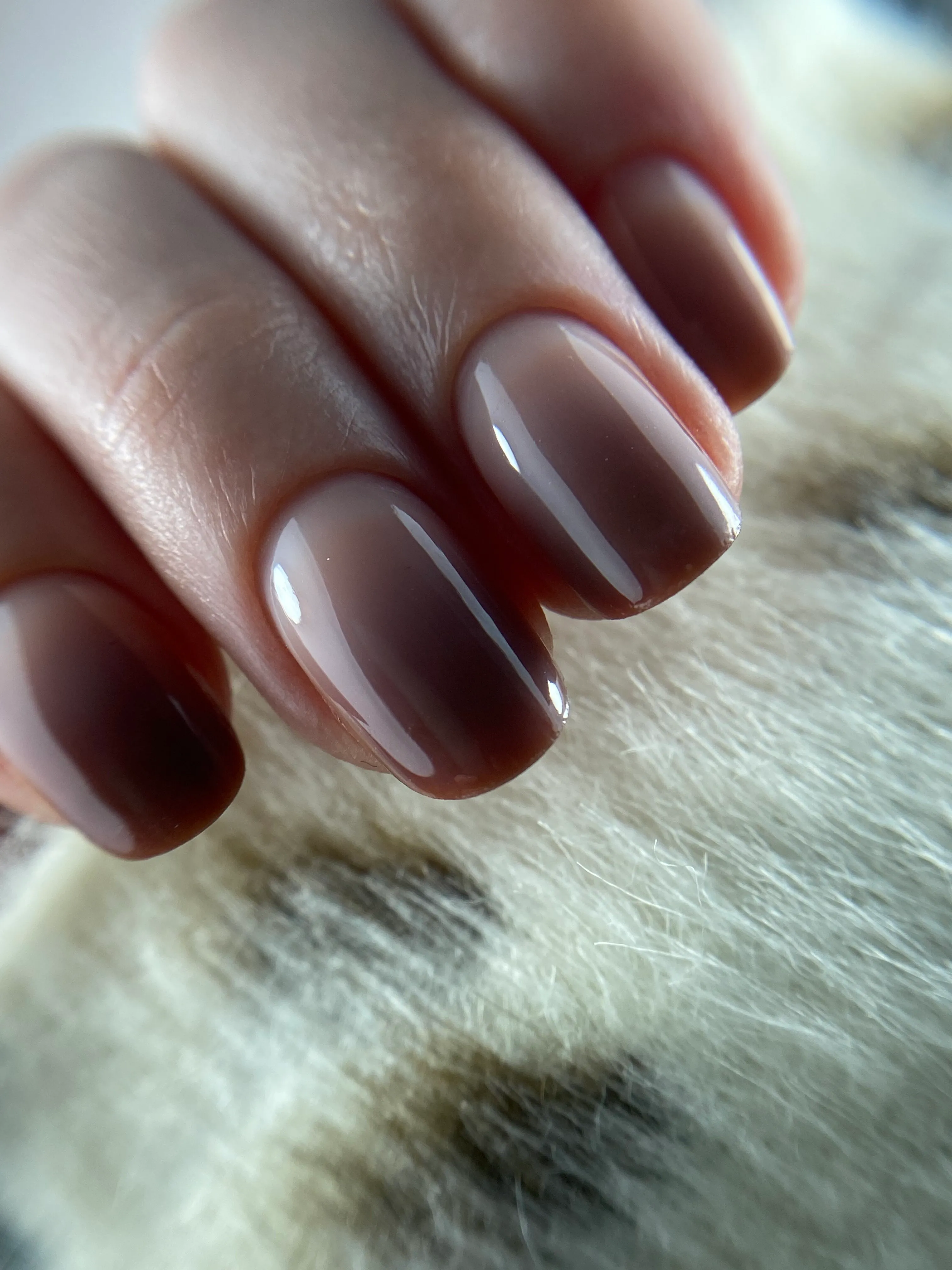 Gel topcoat primer